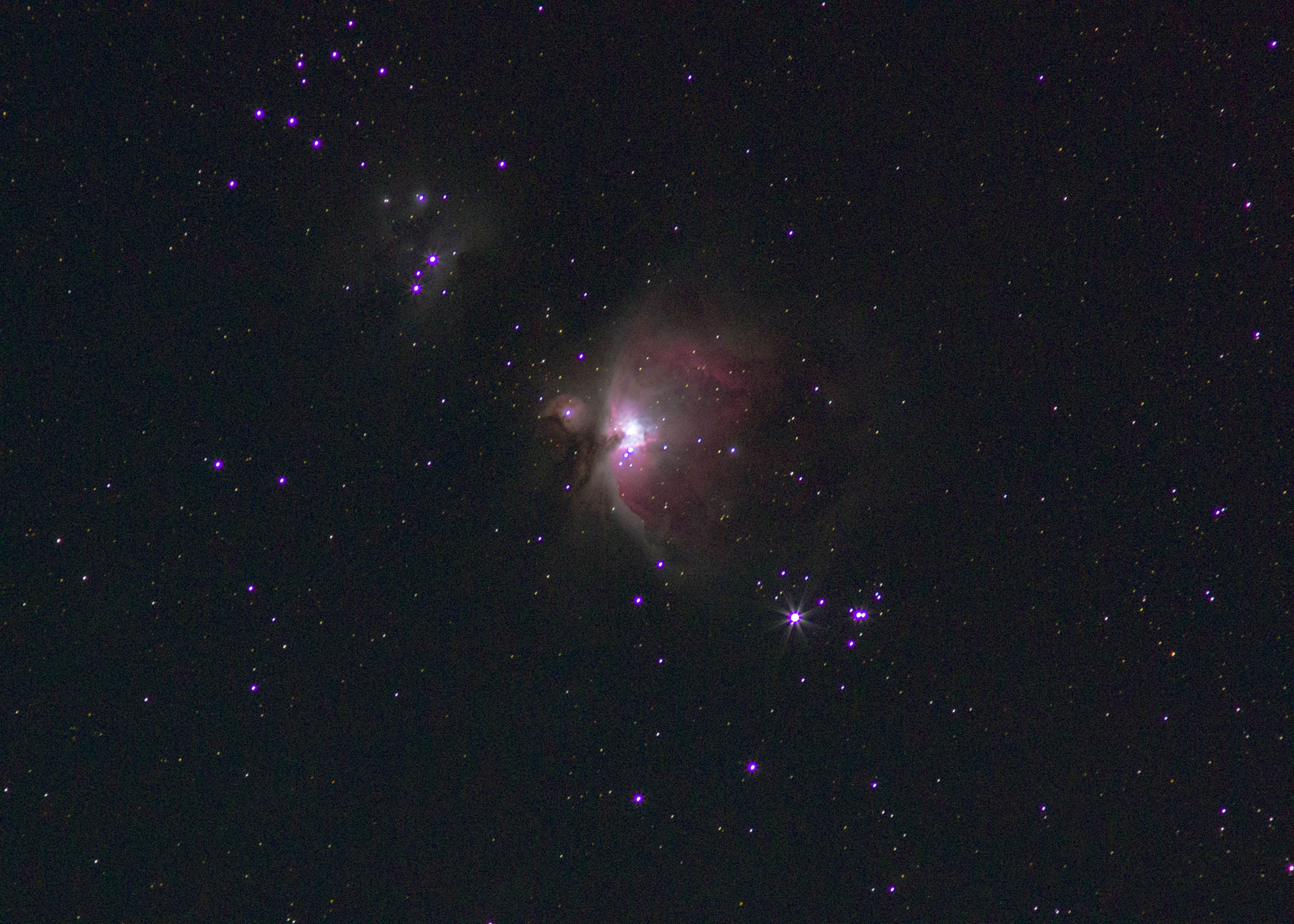 The Orion Nebula glows pink in a field of stars